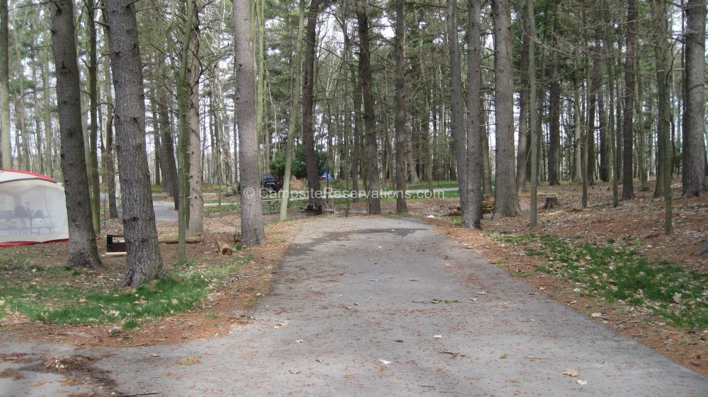 Campsite 226 in KohlerAndrae State Park Campground at KohlerAndrae State Park, Wisconsin